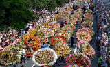Feria de las Flores Medellin