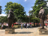 Feria de las Flores Medellin