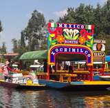 Roots and Rhythms - Mexico & Yucatan