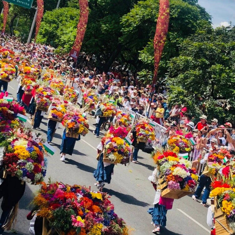Feria de Flores Medellin