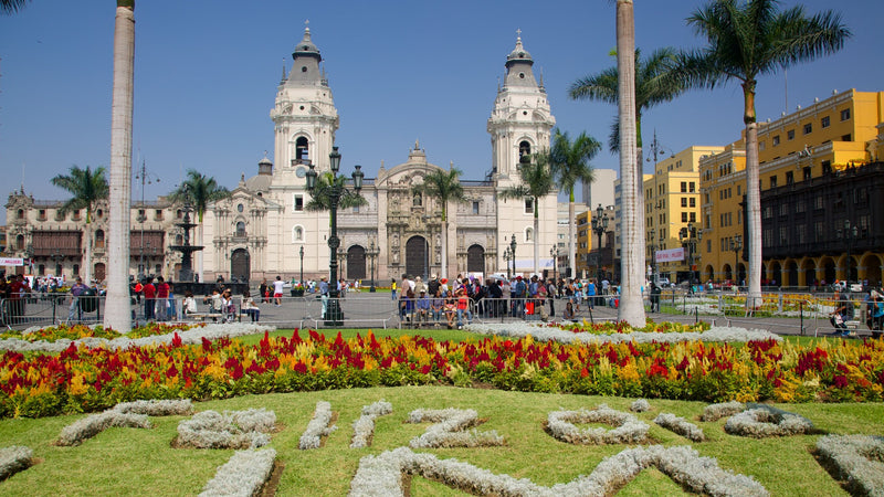 The best of Peru