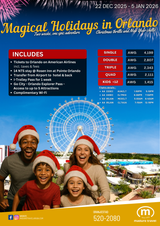Orlando Christmas & New Year