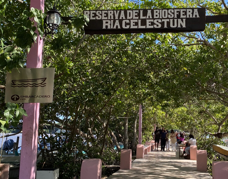 Roots and Rhythms - Mexico & Yucatan