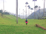 Eje Cafetero Colombia year round