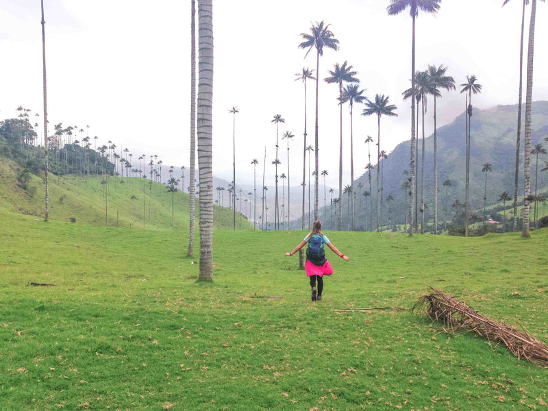 Eje Cafetero Colombia year round