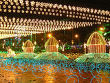 Medellin Christmas Lights