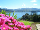 Bogota & Boyaca